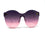 Sage Plum to Pink Ombre Lens Sunglasses Clear